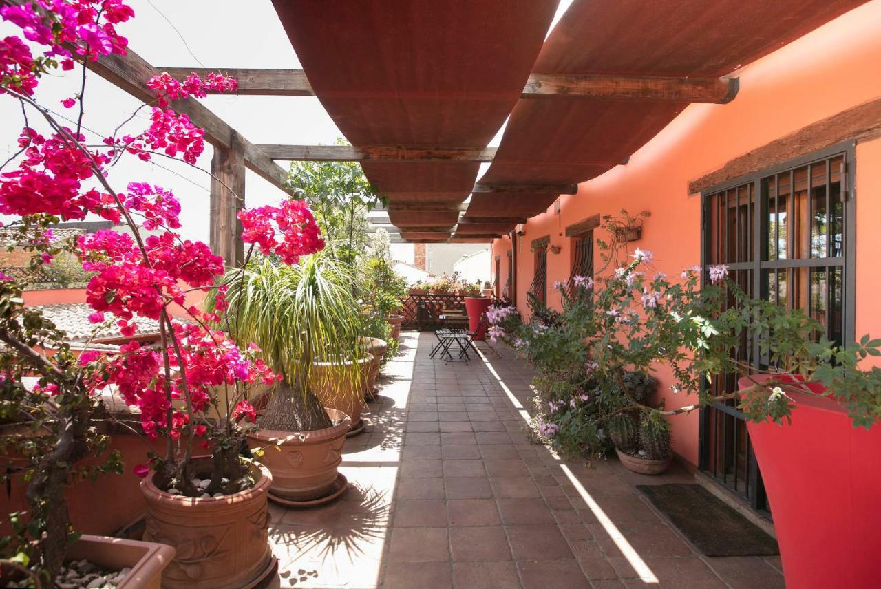 Bed and Breakfast Casa Isotta Куарту-Сант'Елена Екстер'єр фото